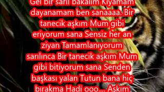 Gülçin Ergül - Bir Tanecik Aşkım lyrics Resimi