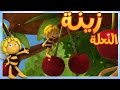 مايا النحلة - زينة لن تنام