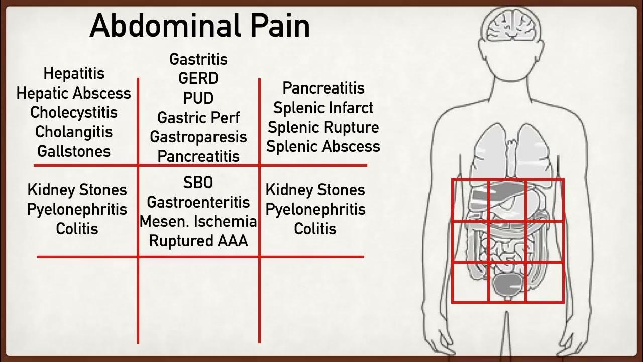 Lower Abdominal Pain With Chills
