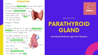 Parathyroid Gland -Head & Neck | MedNotes screenshot 2