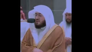 beautiful quran recitation| sheikh baleelah
