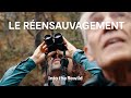 Le rensauvagement avec george monbiot  into the rewild