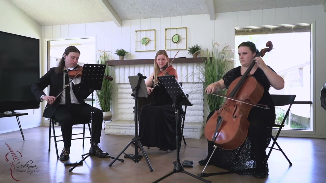 Lavender Strings performing Isn't She Lovely by Stevie Wonder