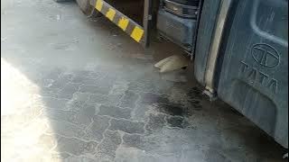 Tata Signa LPT2821. 5L Engine EGR failure