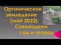 Органическое земледелие. Продолжаем превращать огород в сад