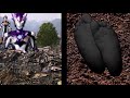 Just a Prank Bro | Ultraman Rosso Buried and Tickled by Blu
