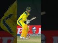 Its all over for Australia, Haris Rauf takes last wicket #PAKvAUS #BackTheBoysInGreen M9J1H