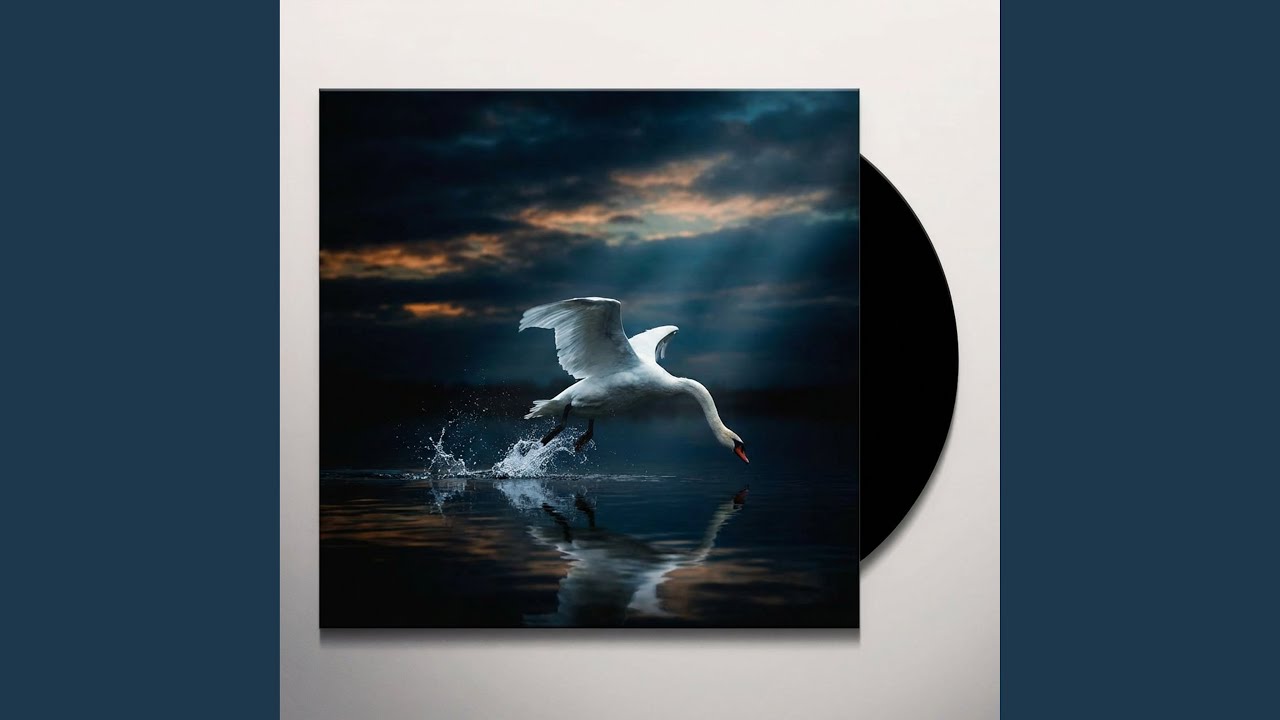 Белый лебедь