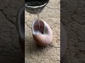 Silver Snail Shell: Scrap Metal to Stunning Art 2026 #shorts #viralvideo #restoration