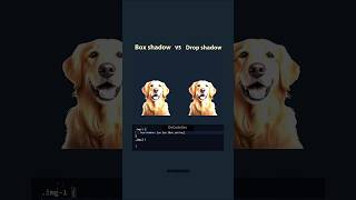 box shadow vs drop shadow/ css border #css #html #coding #programming #developer #tech #it #security