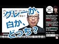 名古屋市　カーテン　相談・お直し・リフォーム歓迎　遮熱カーテンはグレーのステンレスか、白かどっち？