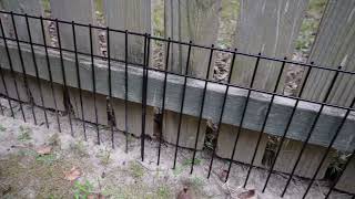 DIY Black Animal Barrier Fence: Tips and Tricks for a Successful Installation