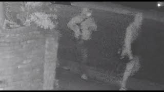 Celebrity TECH KIDNAP-ABDUCTION: Police release video of 3 suspects in high tech executive murder-kidnapping Wealth