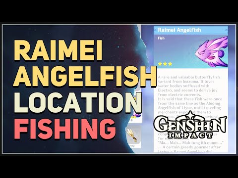 Raimei Angelfish Location