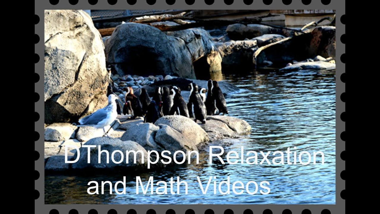 Trip to the Maryland Zoo