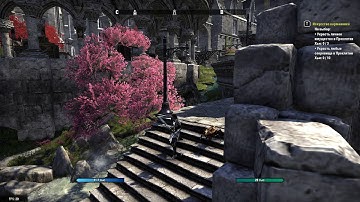 TESO on Linux (Steam Proton)