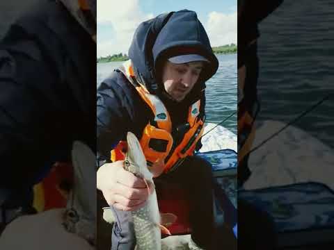 щука на стример. "Наши" стримеры ловят щуканов.