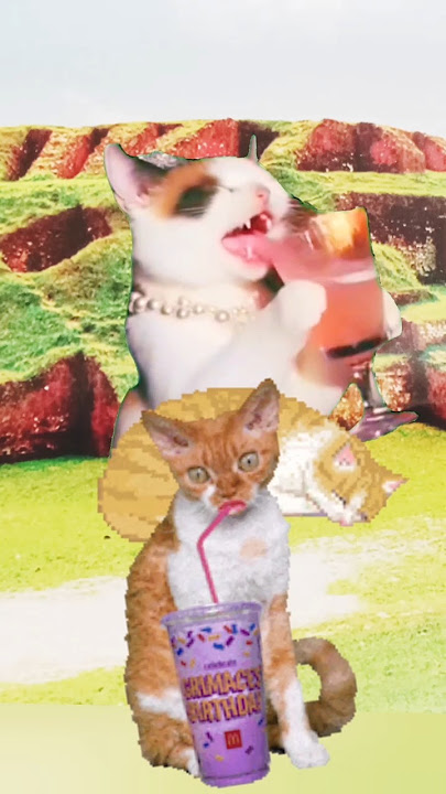 Popipo Popipo 😻🥳 #cute #cat #animals #funny #mojarcartoon #trending #viral #comedy #shorts #foryou