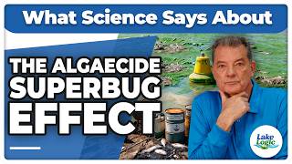 The Super Bug Effect