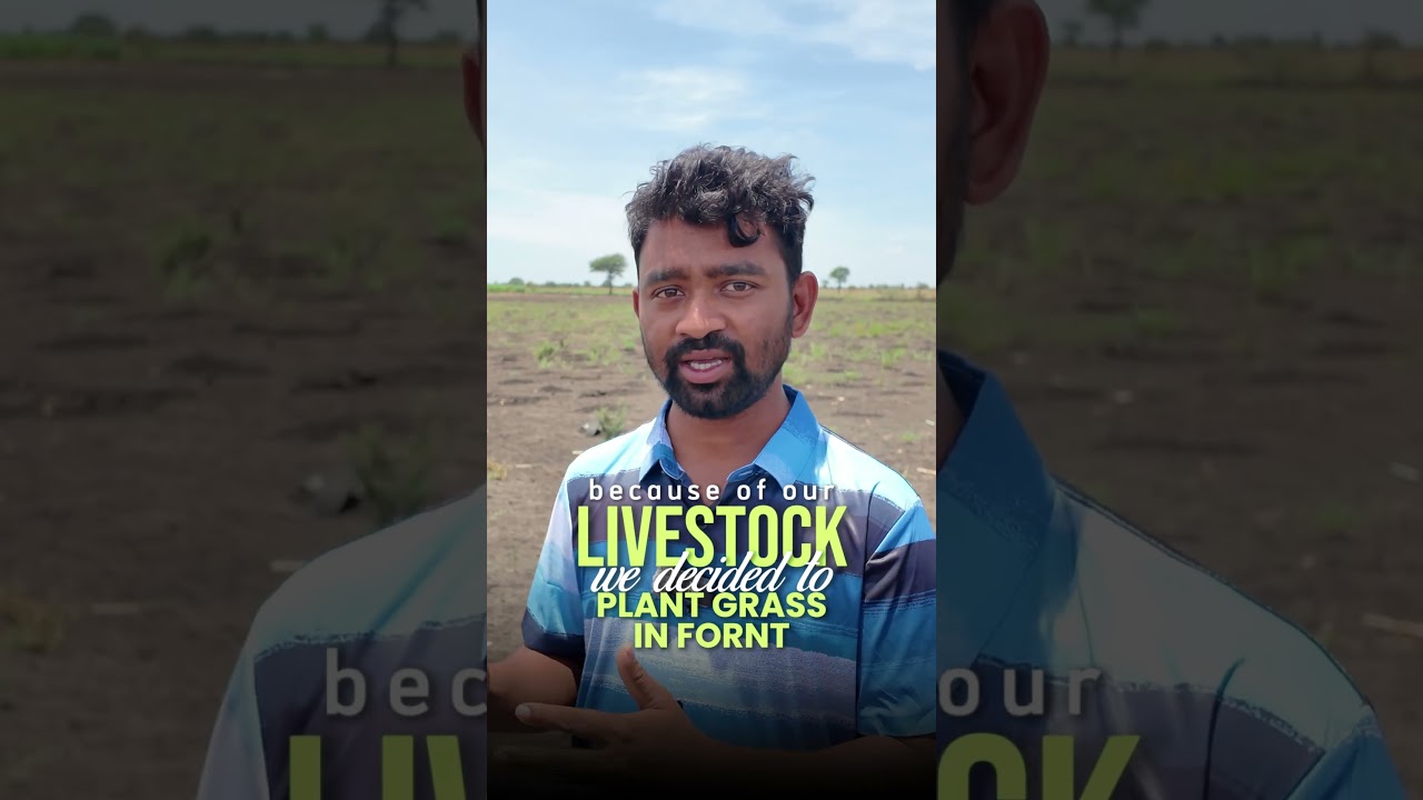 উগান্ডার ফার্মে জমি অনুযায়ী ফসল চাষের পরিকল্পনা