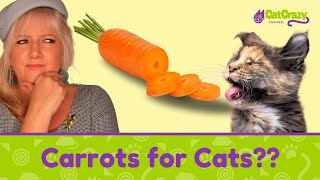 Can Cats Really Be Vegan?