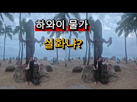 하와이 할리데이비슨 투어 1일차 영상 (ft.여행경비 얼마나 필요한가?)  #여행경비 #호놀룰루 #로드킹스페셜 #로드킹 #할리데이비슨 #HarleyDavidson  #바이크라이프 