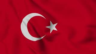 Turkey Flag Waving 4K | Turkish National Flag Animation screenshot 3