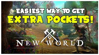 EXTRA POCKETS PERK! How To Farm Sliver of Adderstone | New World Guide