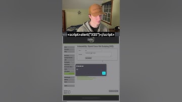 Exploiting a Stored Cross-Site Scripting Vulnerability Example