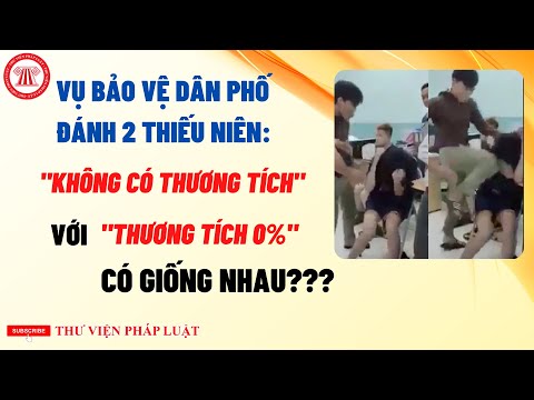 Video Giám Định 