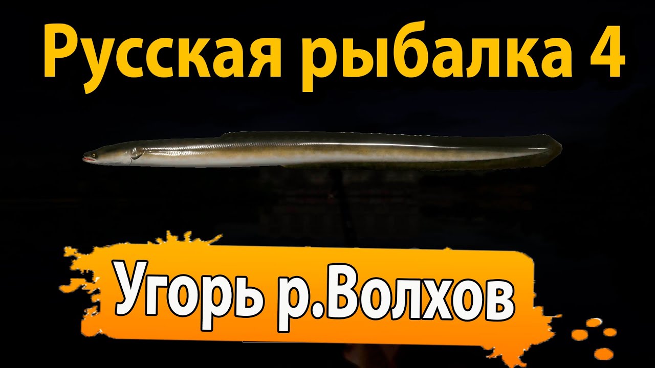 Рр3 волга угорь