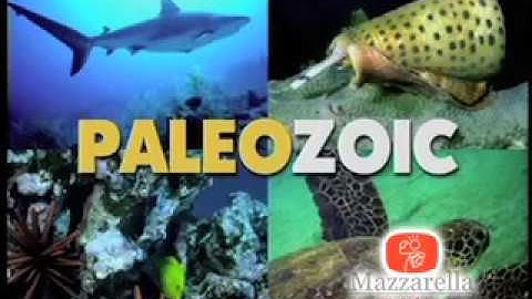 Real World Science: Fossils & Dinosaurs