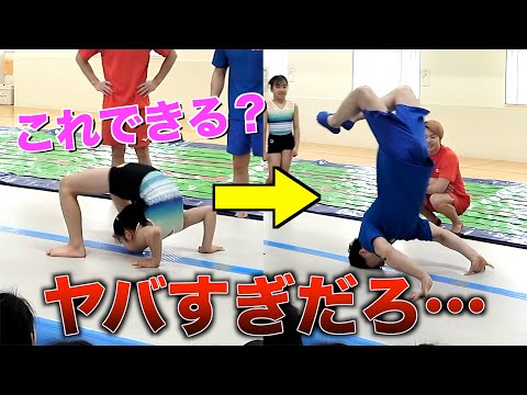 被宝園 太極拳アスリート熊のジャージ 被宝園（ヒホウエン）の「太極拳アスリート熊のジャージ（その他
