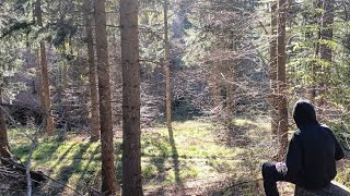 Finding a roe deer antler whilst wild camping