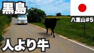 黒島31歳ひとり旅。牛が人の10倍いる牛の島【八重山諸島#5】