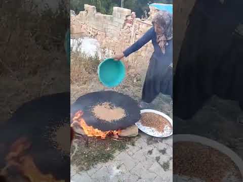 Hanyeri Köyü Pınarbaşı