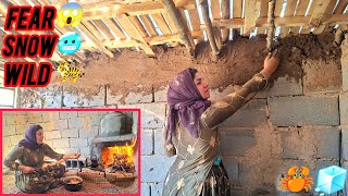 Homeless Mother Fiahts Cold Niahts and Deadly Insects to Build a Cabin