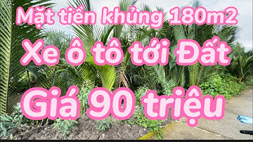 Chủ ngộp bán 10.000m2 Đất Ruộng mặt tiền đường ô tô mặt tiền khủng 180m2 giá rẻ 90triệu/1000m2