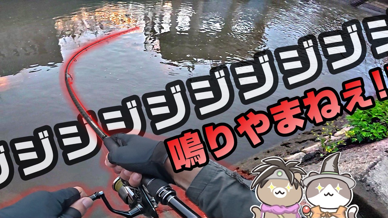 最釣ルアー選び!大物祭りでドラグ唸りまくり!【リバーシーバス】