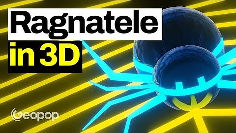 Ragnatele in 3D: ecco come fanno i ragni a crearle così geometriche, letali e resistenti