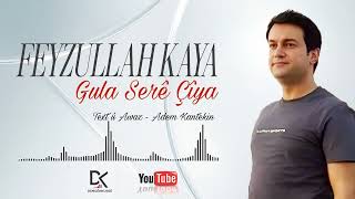 Feyzullah Kaya - Gula Serê Çîya Akustik