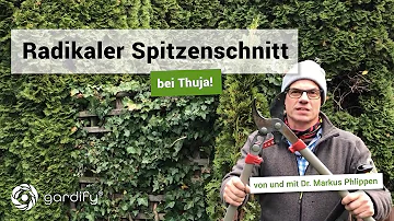 Wohin mit dem Thuja Schnitt?