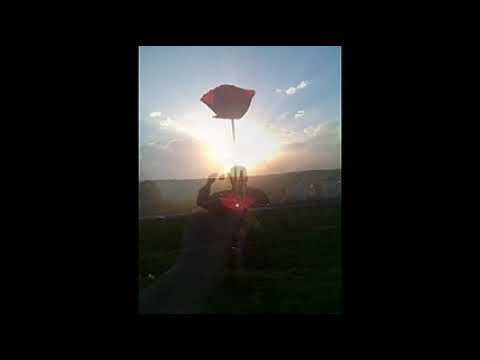فاتت سنه