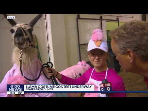 Creativity shines at llama and alpaca costume contest at Minnesota State Fair | FOX 9 KMSP
