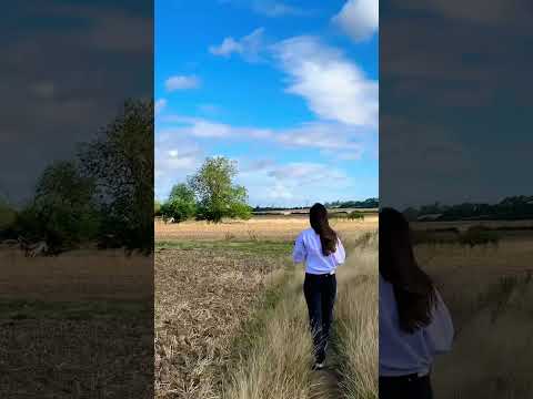 Red Arrows Garden in Waddington