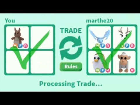 kangaroo adopt mega trading