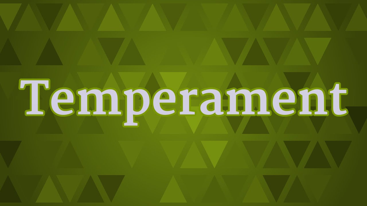 Temperament Pronunciation • How To Pronounce Temperament