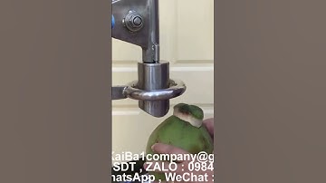 Dụng cụ đục lỗ dừa KaiBa,dụng cụ lấy lỗ đẹp