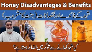 Honey Benefits & Disadvantages Urduhindi Shehad Ke Fayde Aur Nuksan Al-Razaqi Health Recover