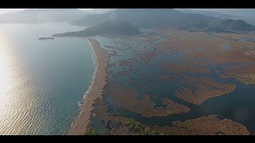 Difference Between a Delta an Estuary?